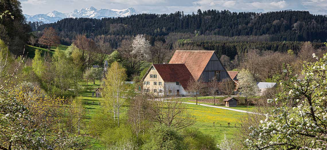 Panoramablick über das Bauernhaus-Museum Wolfegg (Bild: Ernst Fesseler)
