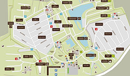 Platzplan vom Campingpark Gitzenweiler Hof